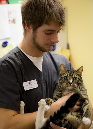 Pet Vaccinations in Altanta: Tech Carries Cat